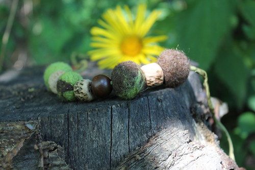 Oživlá země — foto 6