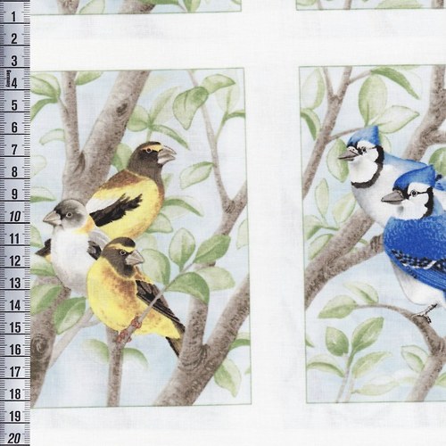Beautiful Birds - panel — foto 3