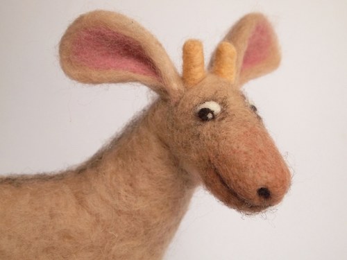 Krásná Okapi - IHNED K DISPOZICI ! — foto 3