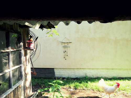 Ryba. Drátovaný závěs. — foto 6