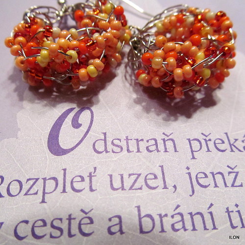 Život — foto 2