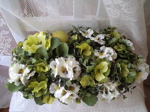 Maceškovníček — foto 2