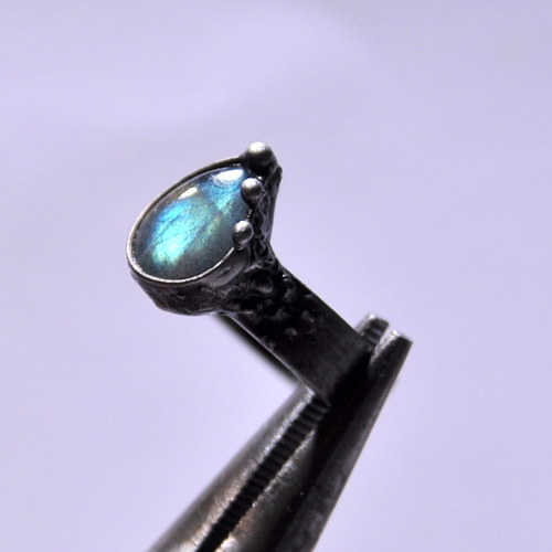 Kapka Rezervace — foto 2