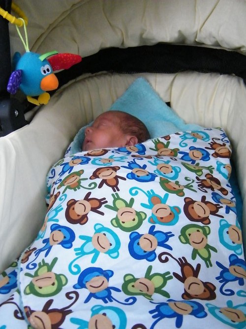 Deka ptáčci — foto 5