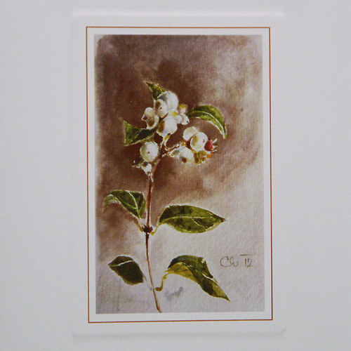 Přáníčko - Pámelník 1 — foto 3