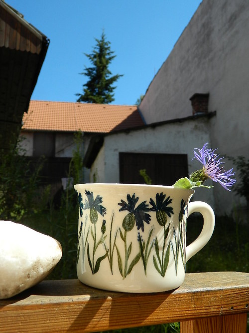 Chrpový letní — foto 2