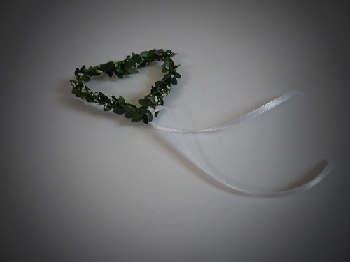Srdíčko myrtové — foto 3