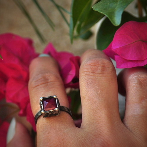 Bougainvillea Vera — foto 5