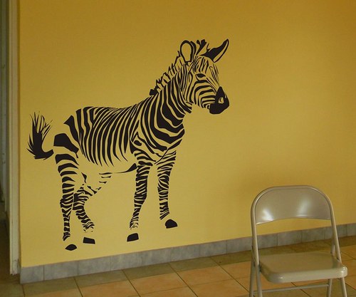 Zebra — foto 4