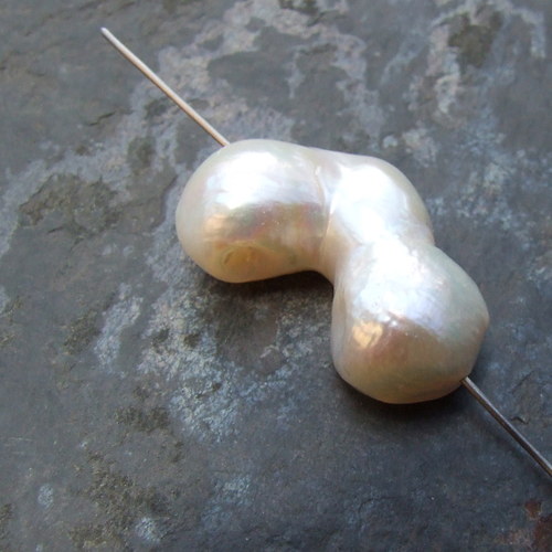 Říční perla — foto 4
