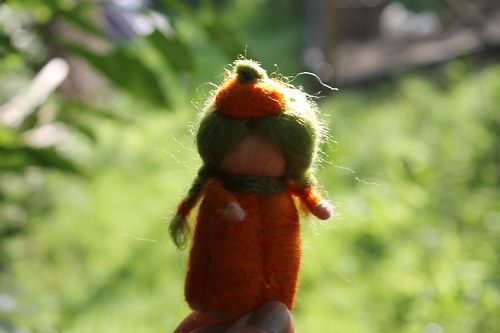 Letos mi dýně chybí... — foto 2