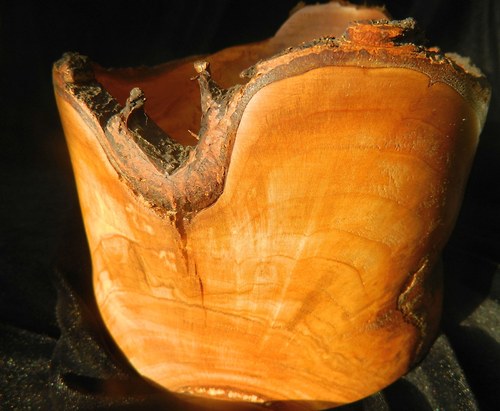 Cherry bowl — foto 3