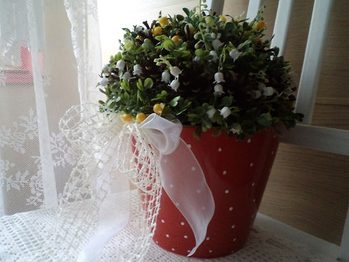 Konvalinka lesní... — foto 3
