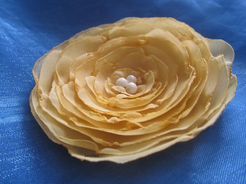 Žlutá — foto 2