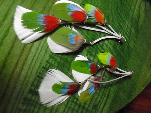 Parrot mix — foto 3