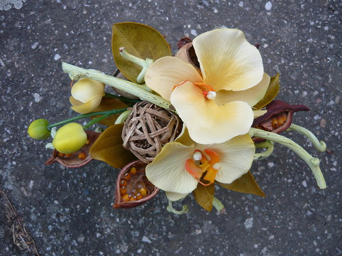 Žlutá orchidea — foto 3