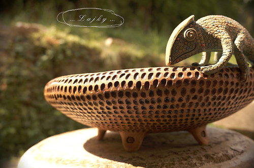Chameleon..který nezmizí — foto 2