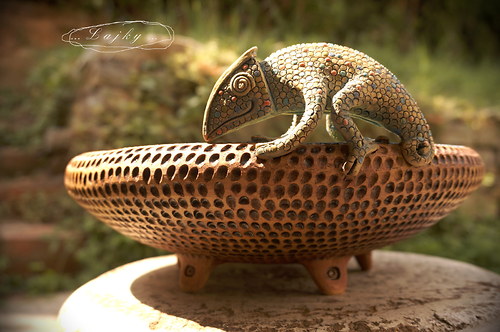 Chameleon..který nezmizí — foto 3