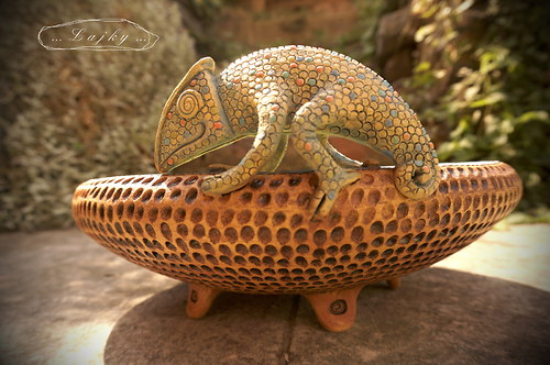 Chameleon..který nezmizí — foto 5