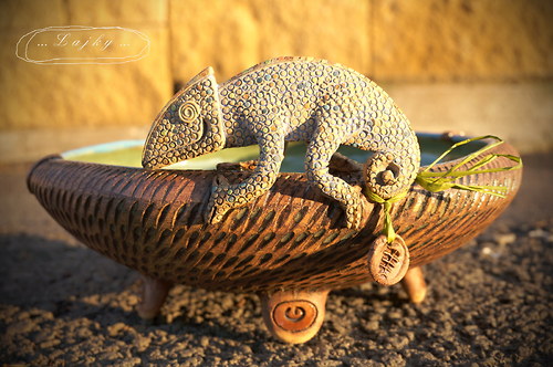 Dekorace Chameleon... — foto 2