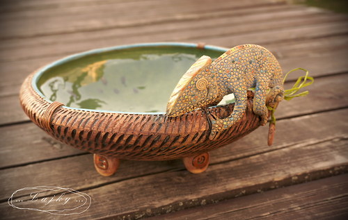 Dekorace Chameleon... — foto 4