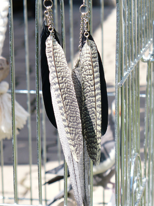 Tropical bird - VÝPRODEJ! — foto 2