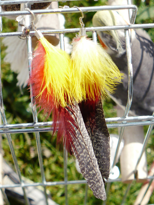 Parrot - VÝPRODEJ! — foto 2
