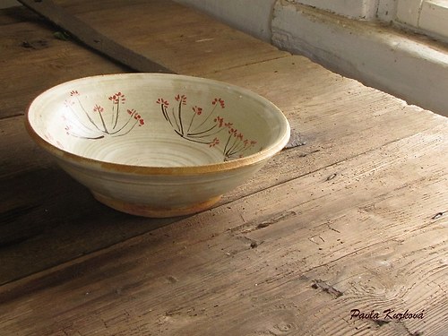 Mísa BEDRNÍČEK — foto 2