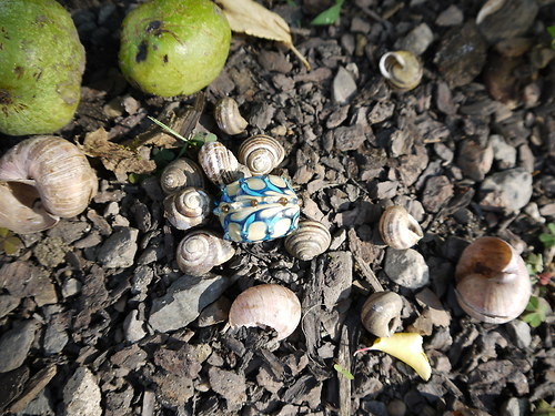 Písečné ostrovy — foto 3