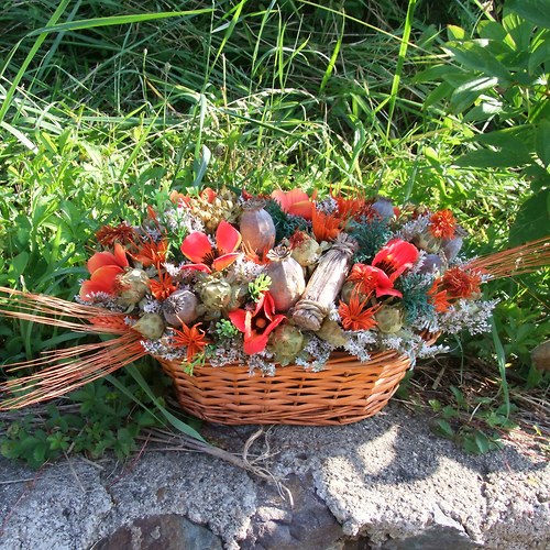 Maková ošatka — foto 2
