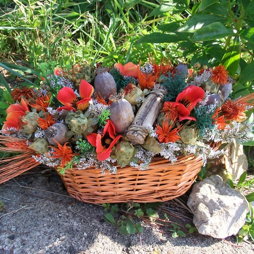 Maková ošatka — foto 3