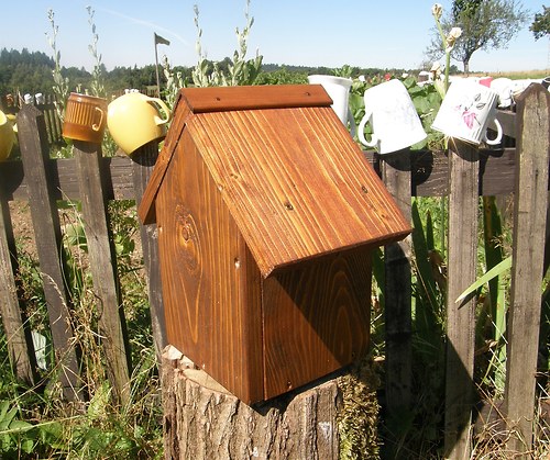Hmyzí domeček (17) — foto 3