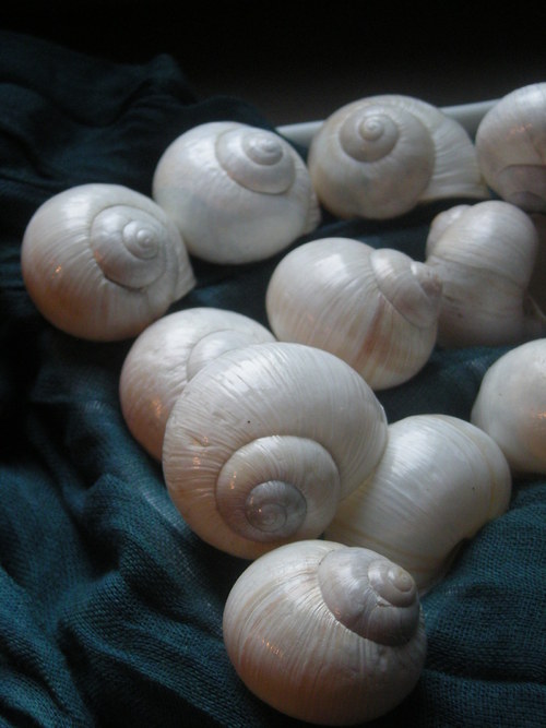 Ulity - alabastrové — foto 2