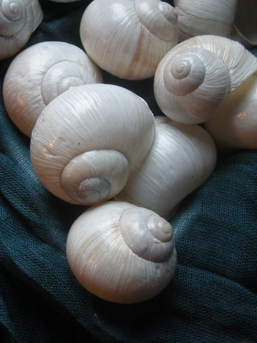 Ulity - alabastrové — foto 5