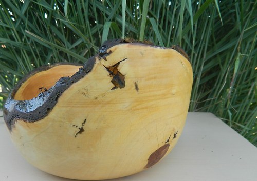 Mísa z jablůňky — foto 2