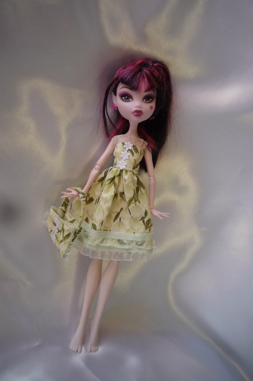 Jarní tulipánové pro Monster High — foto 2