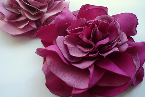 Fuchsiová.. — foto 2