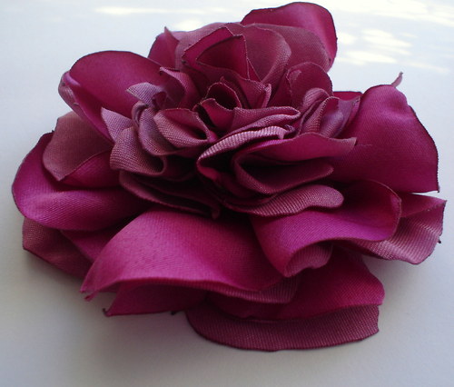 Fuchsiová.. — foto 4