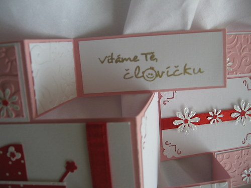 Kočárkové skládané pro holčičku — foto 3