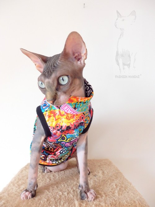 Triko pro Sphynx vel. 0 nebo 1 — foto 2