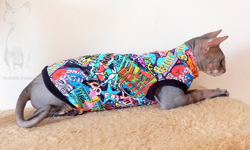 Triko pro Sphynx vel. 0 nebo 1 — foto 3