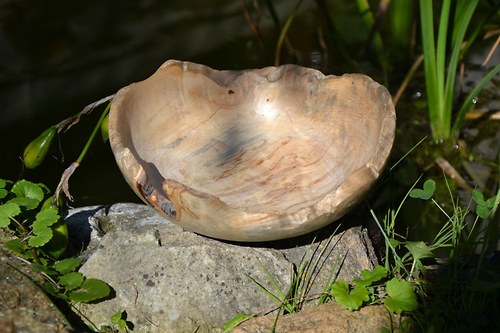 Miska "Křivá, kaštan" — foto 3