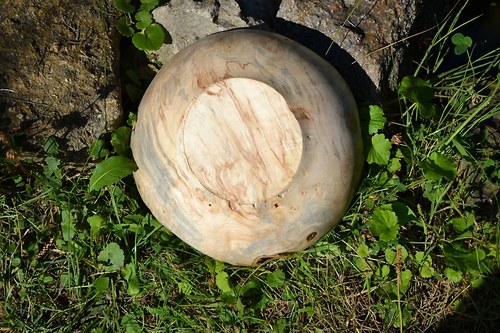 Miska "Křivá, kaštan" — foto 4