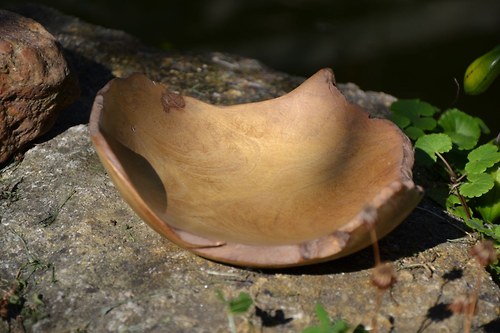 Miska "Křivá, akát" — foto 2