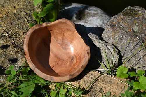 Miska "Křivá, jabloň" — foto 2