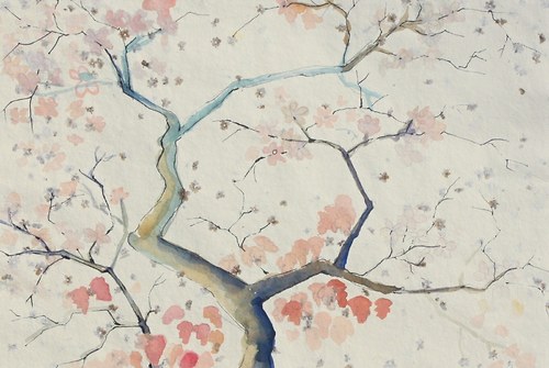 Sakura — foto 2