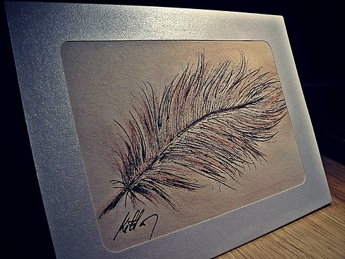 Přání pírko — foto 3
