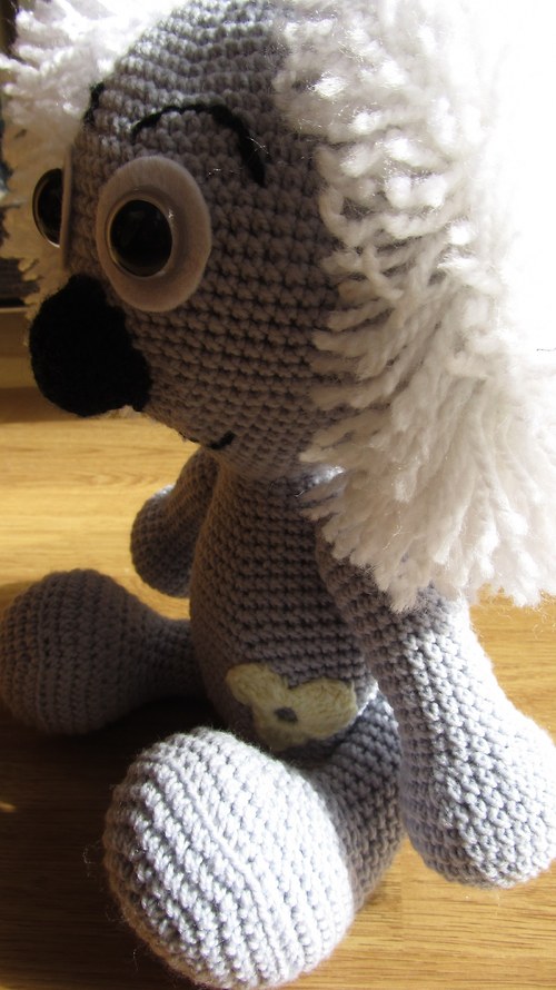 Medvídek koala — foto 3