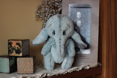 Sloník Willy — foto 2