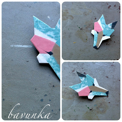 Liška geometrická — foto 3